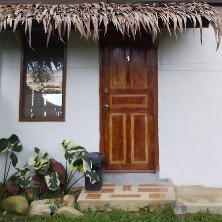 Ziah'S Guest House San Vicente  Esterno foto