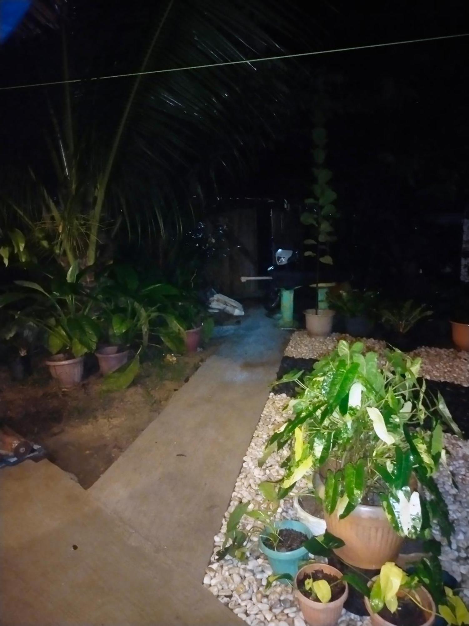 Ziah'S Guest House San Vicente  Esterno foto
